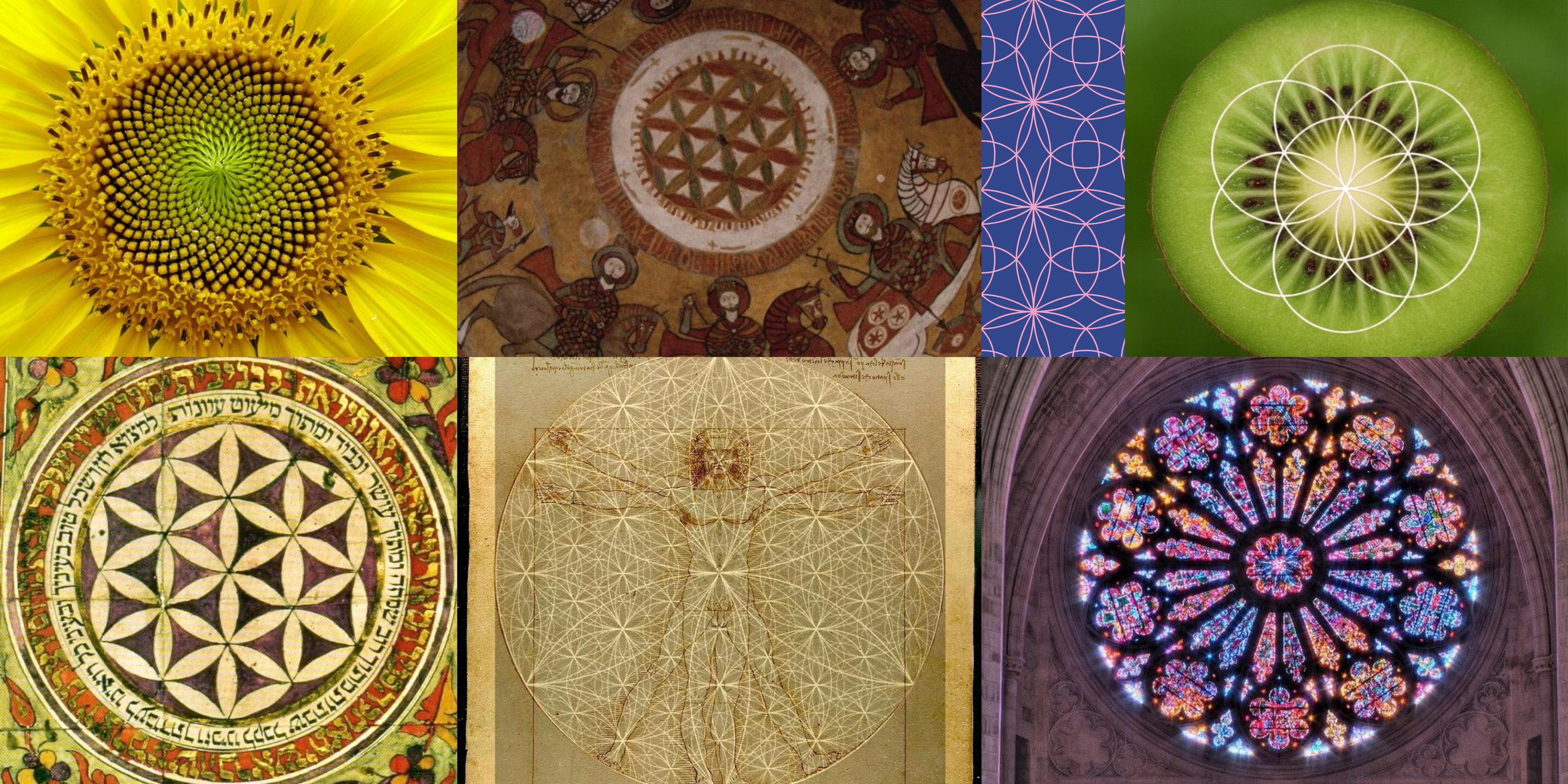 The Flower of Life: Geometry of Unity and Creation