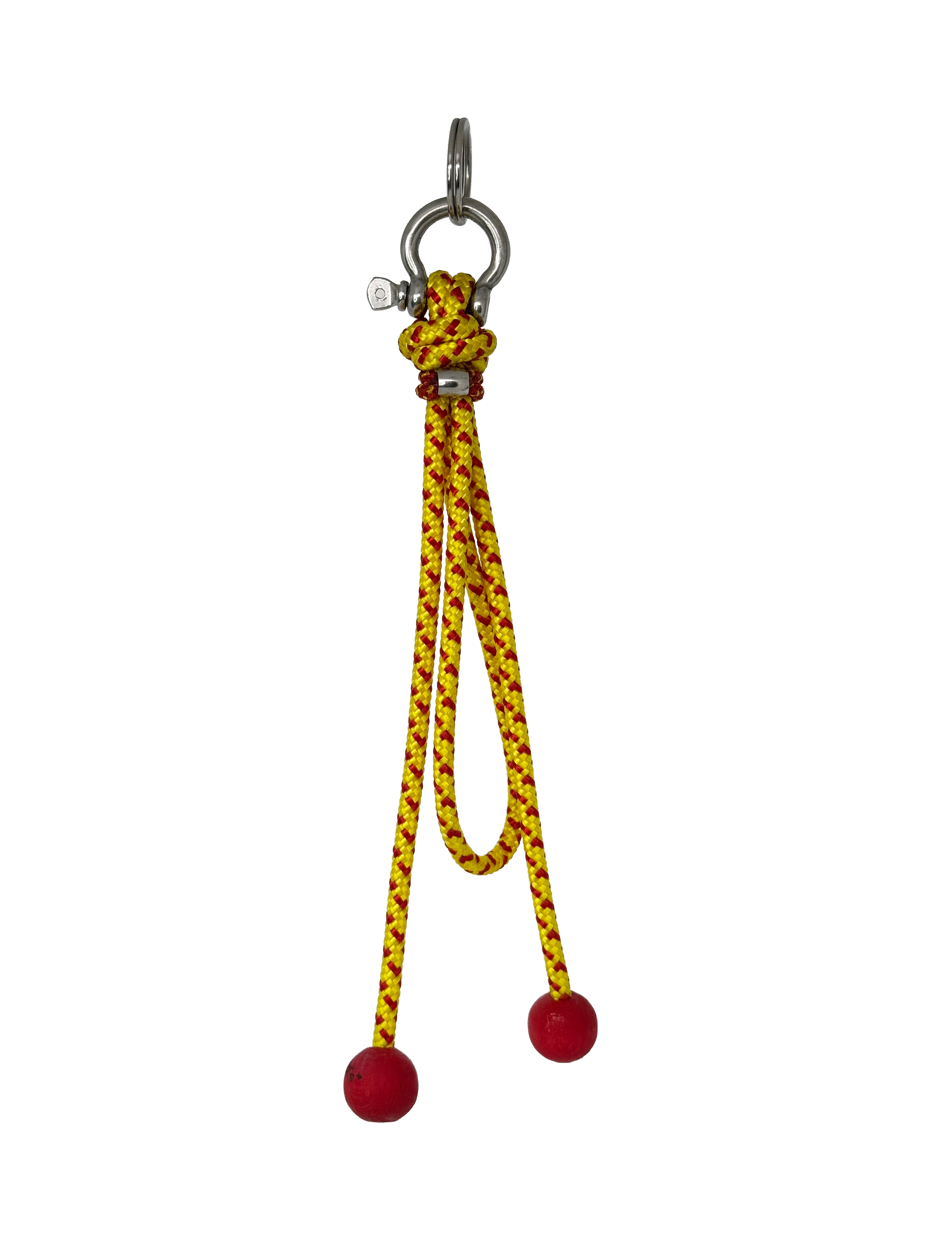 Dandylion